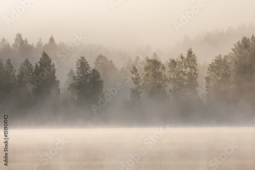 Foggy forest and lake at dawn  © Juhku