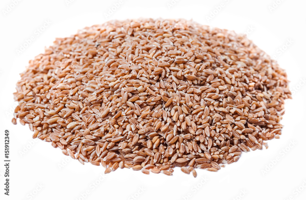 A bunch of spelt on a white background