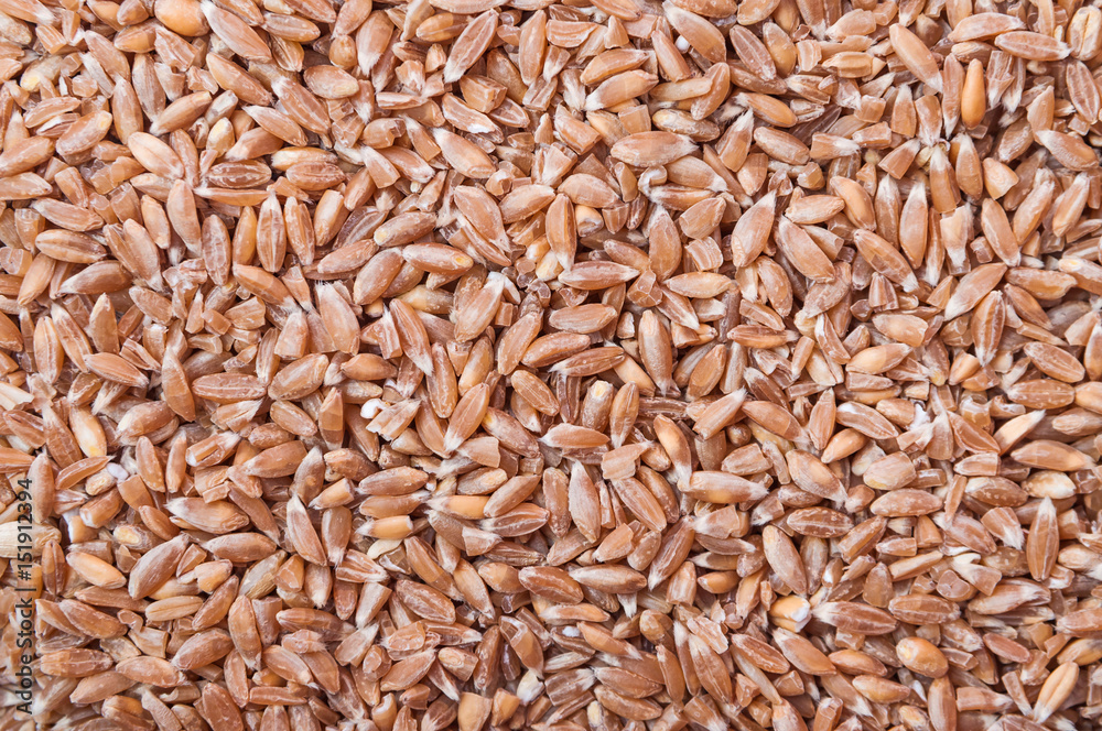 Groats spelt. Background Groats spelt. Background