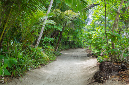 Sand road to the beach in tropical forest