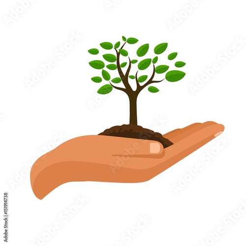 Tree in hand