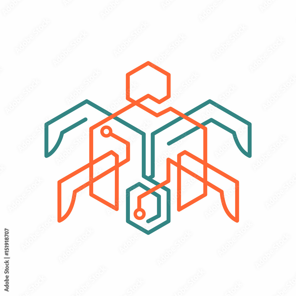 Digital Turtle logo design Digital Turtle logo design