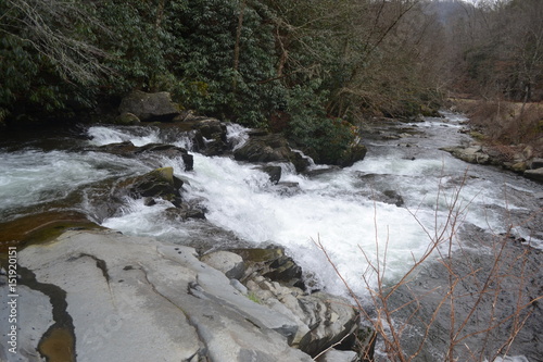 Rushing water over rocks with forest