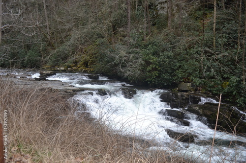 Rushing water over rocks with forest