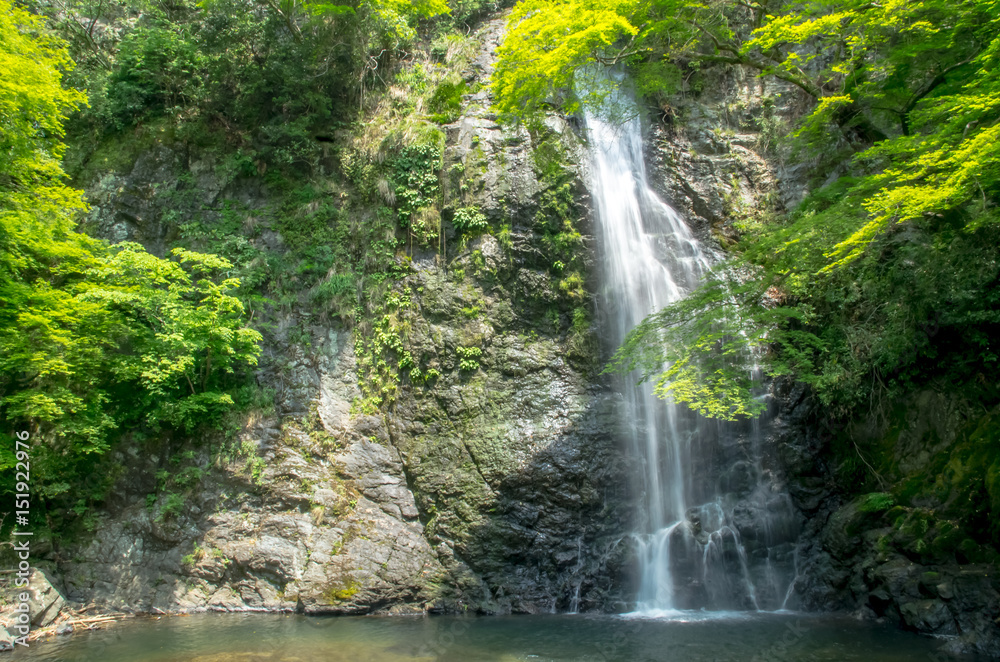 大阪・箕面の滝