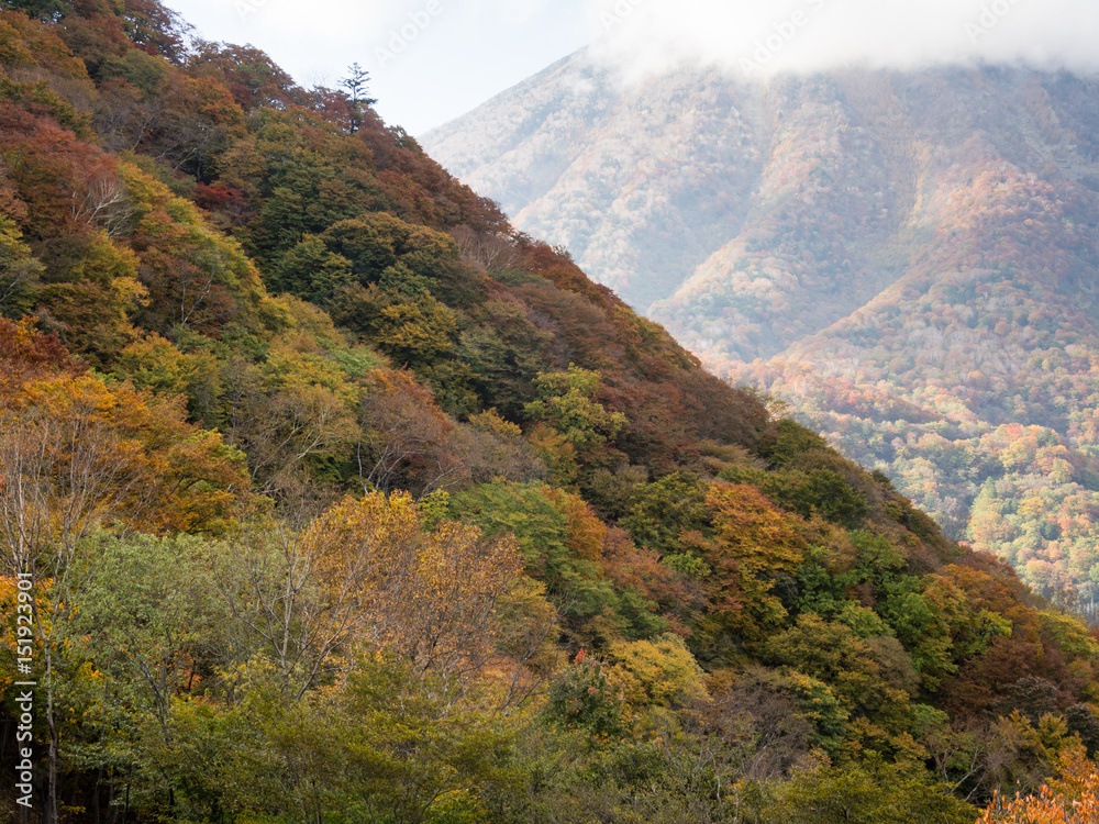 Early fall colors in Nikko National Park - Tochigi prefecture, Japan