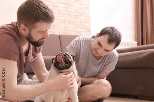 Happy gay couple sitting on...