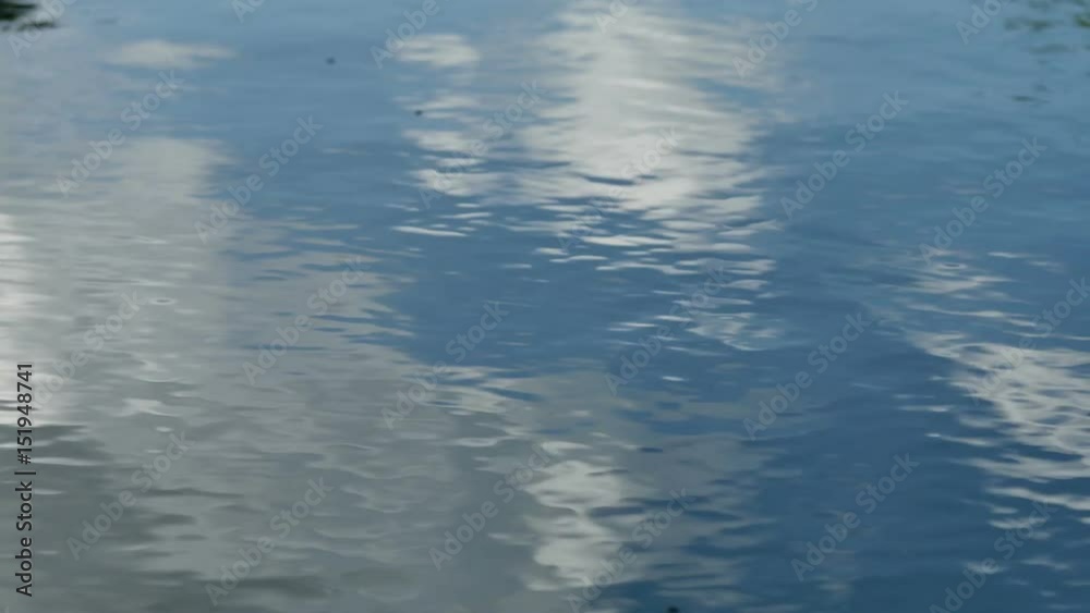 Shadow sky tree water reflection Shadow sky tree water reflection