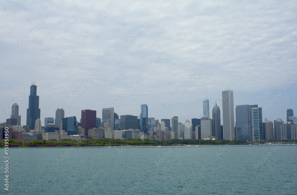 Naklejka premium Chicago Skyline