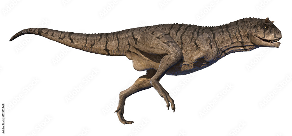 A 3d rendering of Carnotaurus sastrei running. A 3d rendering of Carnotaurus sastrei running.