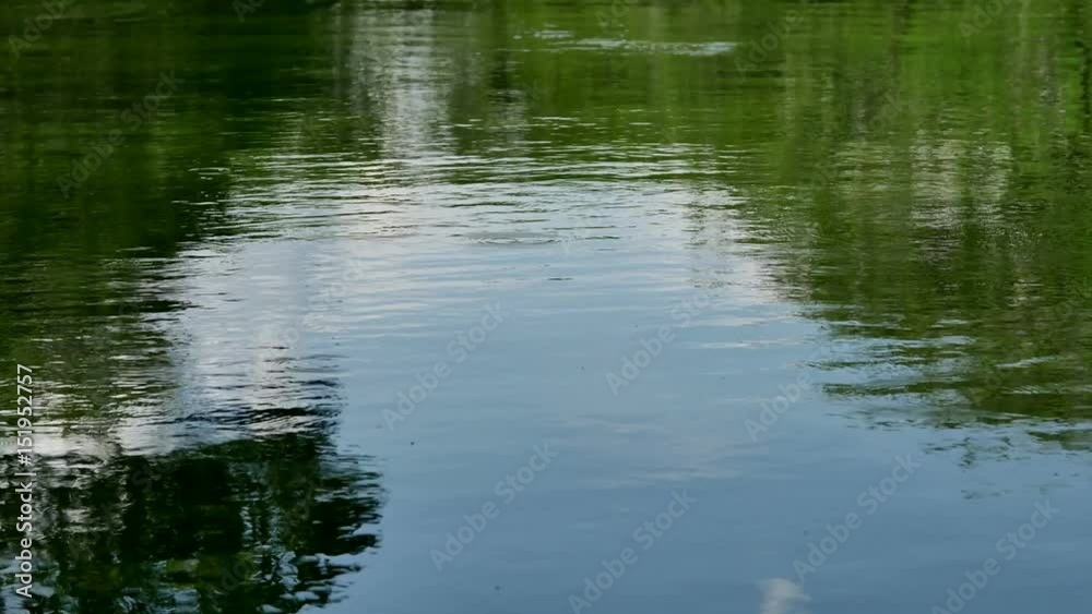 Shadow sky tree water reflection Shadow sky tree water reflection