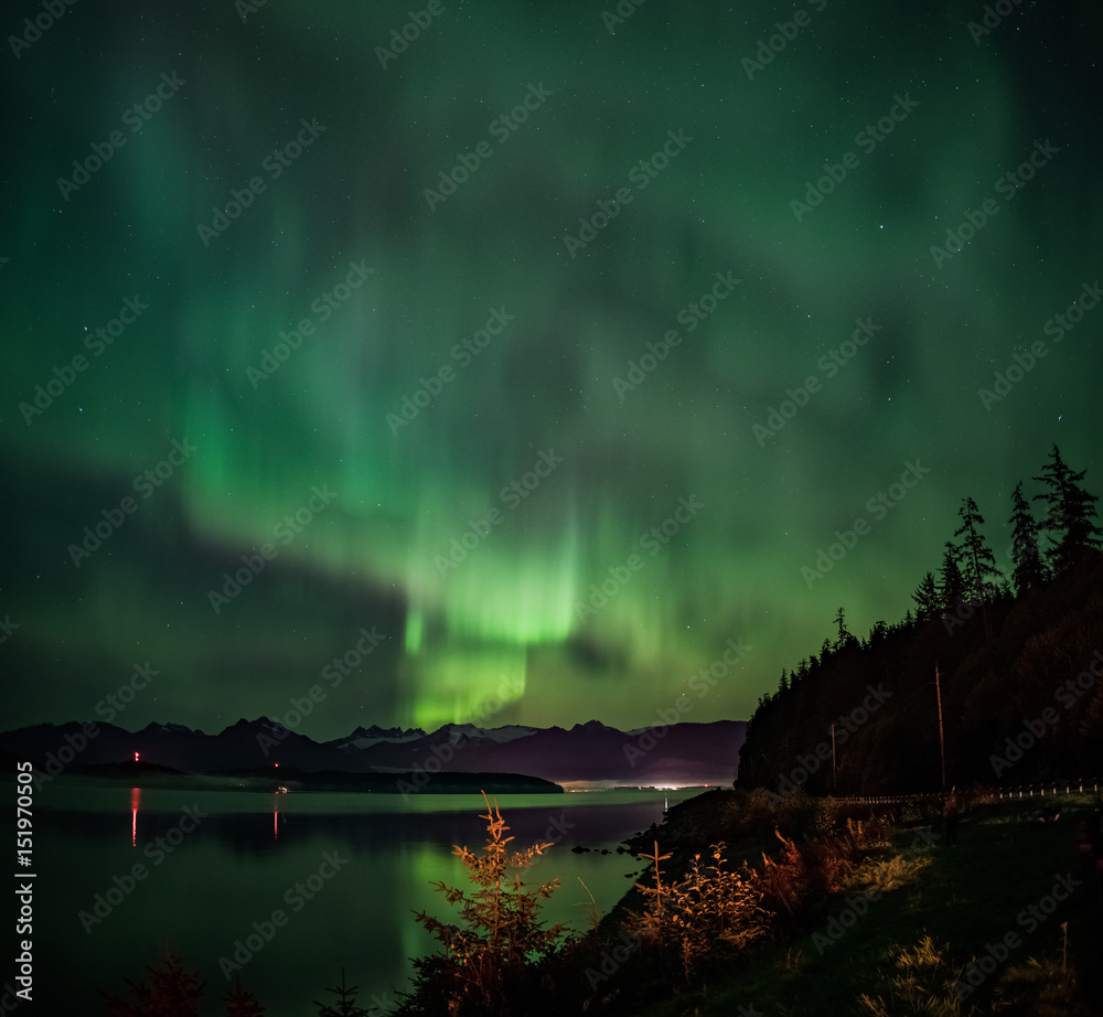 Alaskan Aurora 