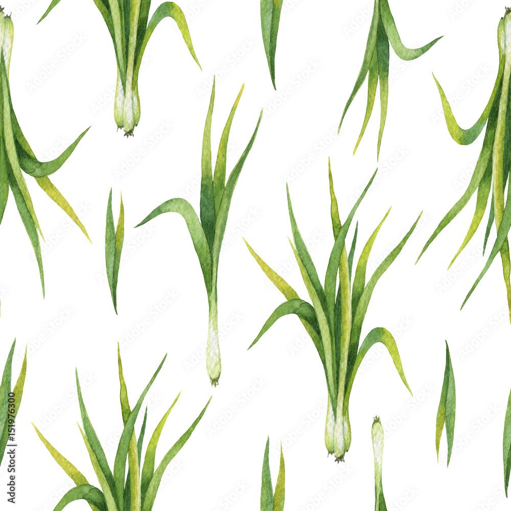 Hand drawn watercolor seamless pattern of Lemon grass. Hand drawn watercolor seamless pattern of Lemon grass.