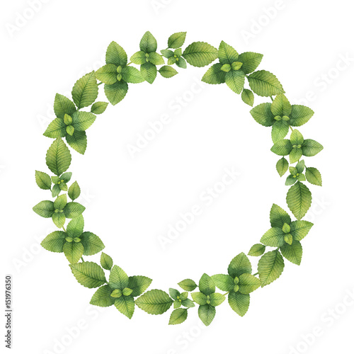 Watercolor hand painted round wreath with Lemon balm.