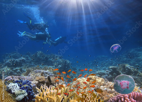 Divers on a rope underwater...