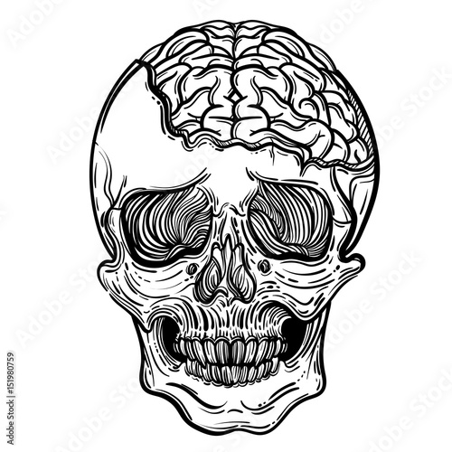 Vector illustration with a human skull and brains. Gothic brutal skull. For print t-shirts or book coloring.
