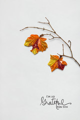 Happy Thanksgiving day / Creative thanksgiving day concept photo of a branch with leaves made of paper on white background.