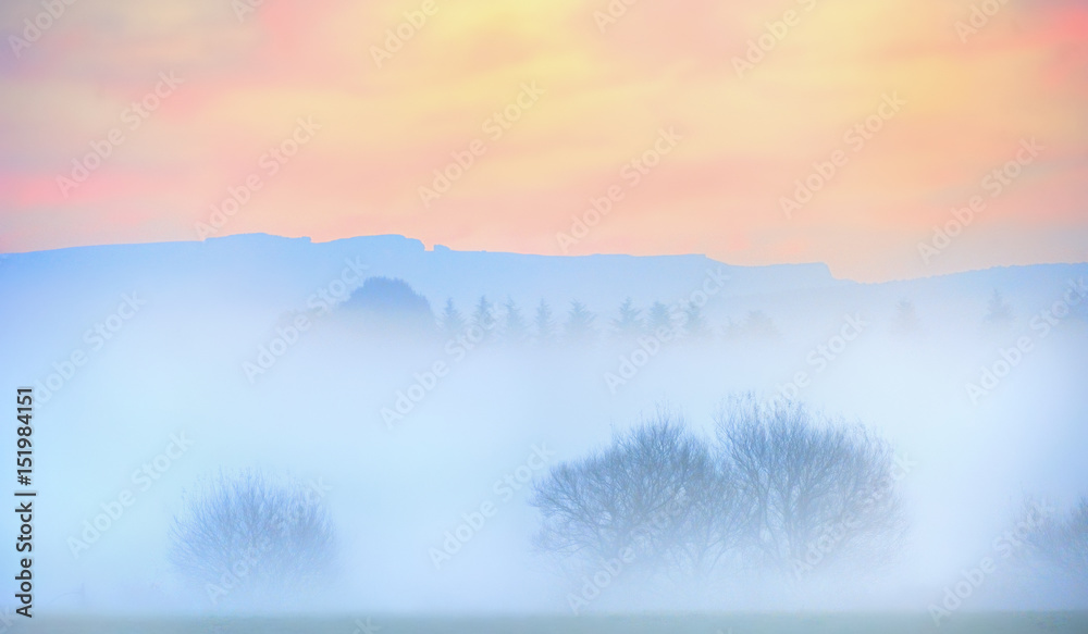 Obraz premium Fog Bank 