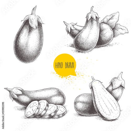 Hand drawn sketch style fresh eggplants. Fresh eggplant and sliced eggplant. Healthy fresh organic food isolated on white background.