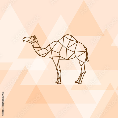 Camel polygon polygon on orange background.