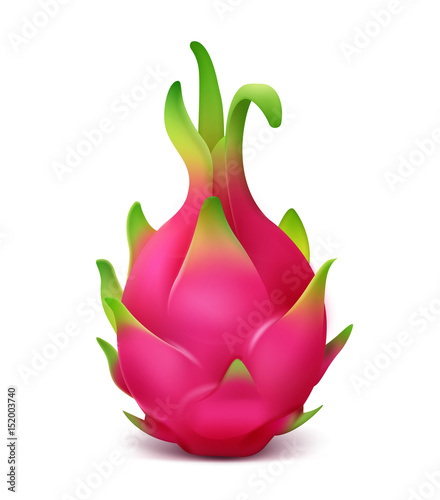 Pink dragon fruit