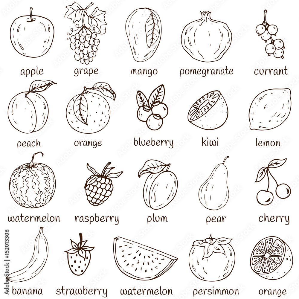 Set of fresh healthy hand-drawing fruits isolated. Organic farm ...
