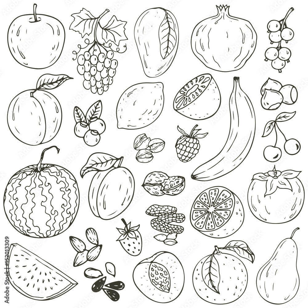 Fototapeta premium Set of fresh healthy hand-drawing fruits isolated. Organic farm illustration. Healthy lifestyle vector design elements.
