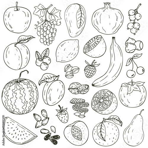 Set of fresh healthy hand-drawing fruits isolated.  Organic farm illustration. Healthy lifestyle vector design elements.