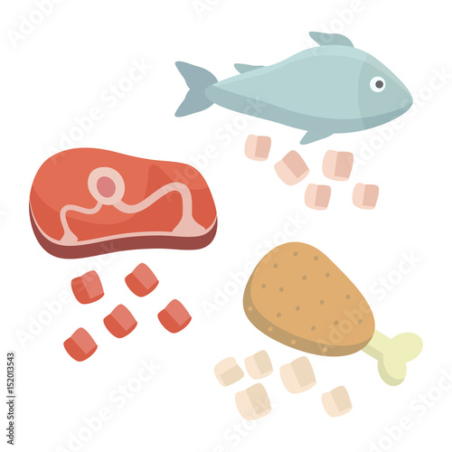Beef meat steak, fish, chicken leg. Flat design.