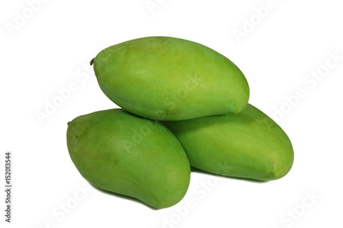 Piled Up Three Vibrant Green Color Young Mangoes Isolated on White Background 