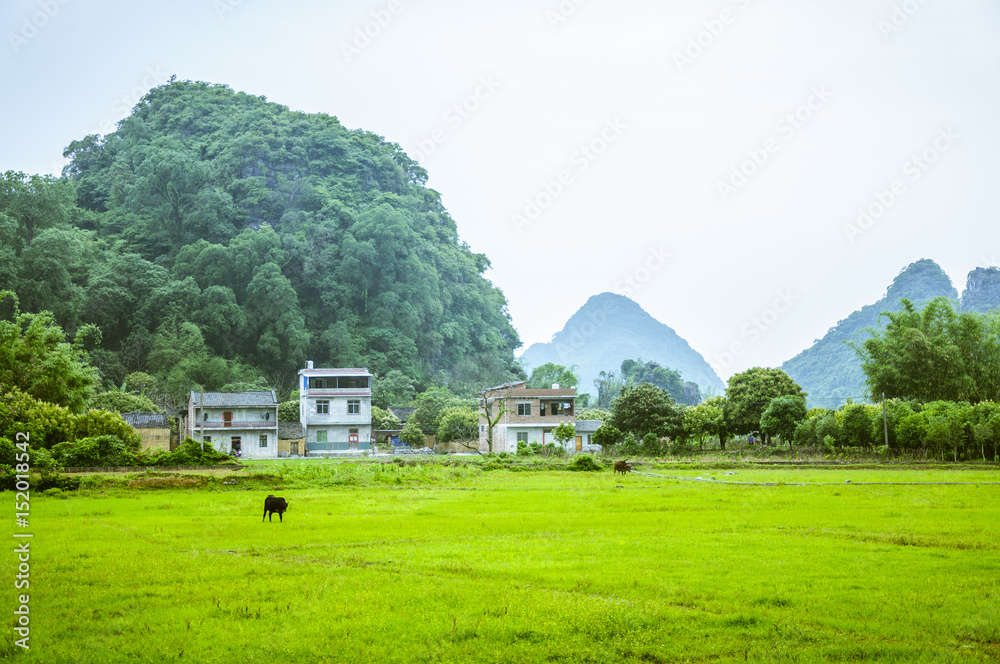 Countryside scenery in spring