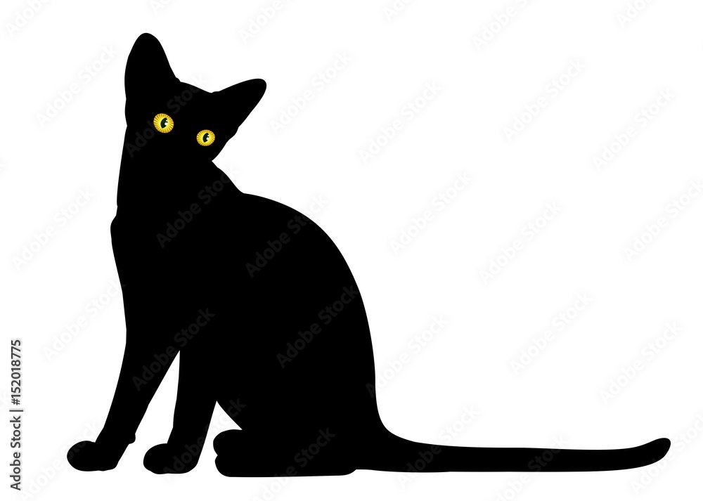 Black cat. Black cat.