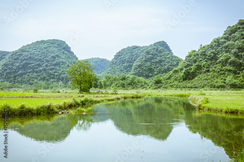 Beautiful countryside scenery in summer