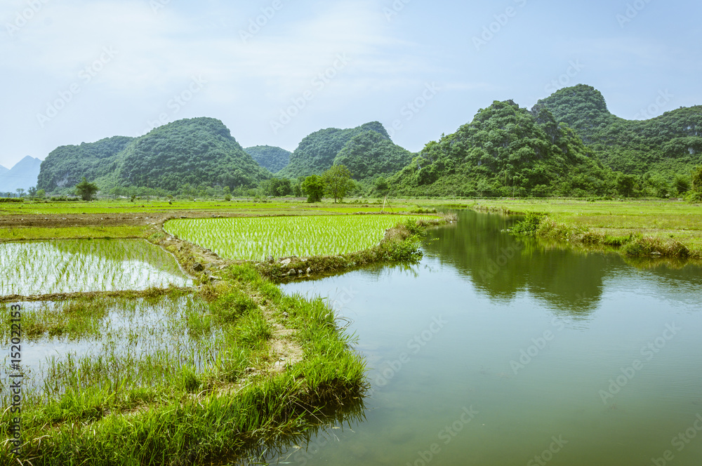 The countryside scenery in summer The countryside scenery in summer