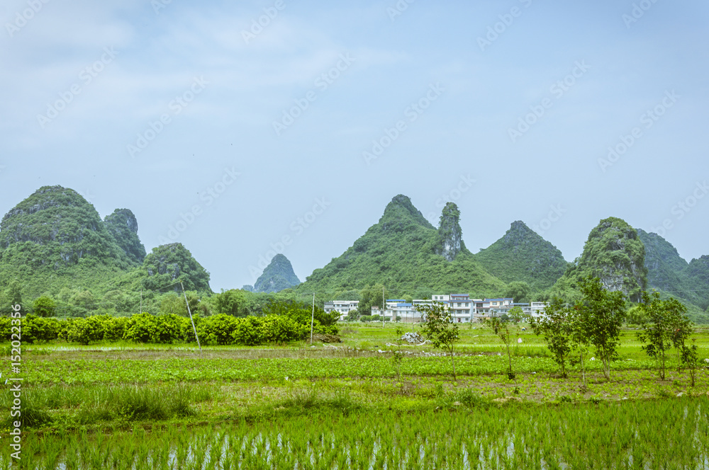 The countryside scenery in summer 