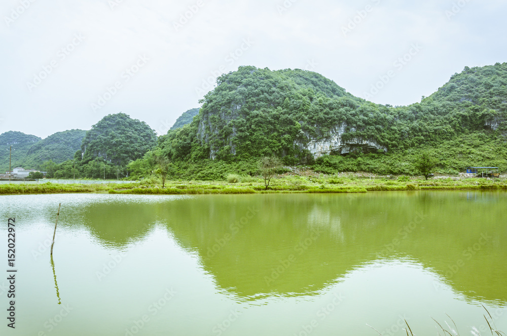 The countryside scenery in summer The countryside scenery in summer