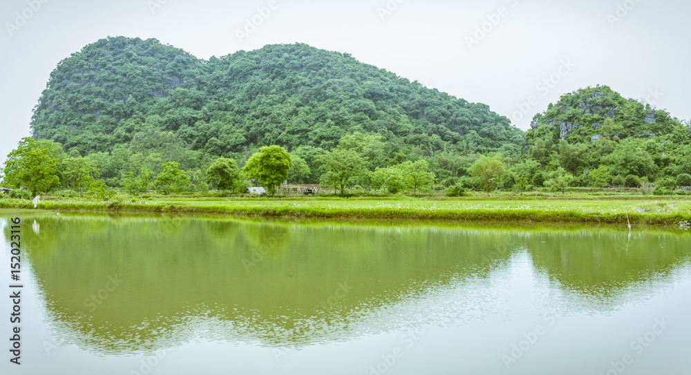 The countryside scenery in summer The countryside scenery in summer