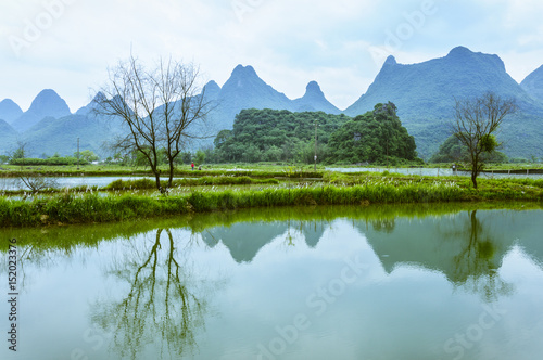 The countryside scenery in summer