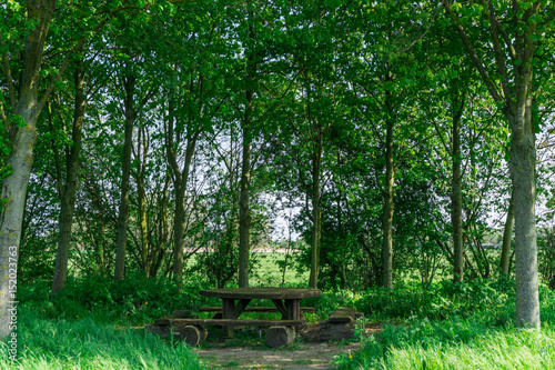 A table of wood under large trees