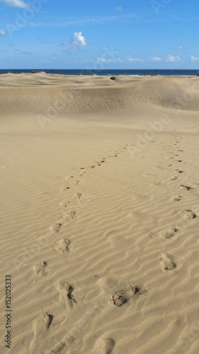 Tag am Strand