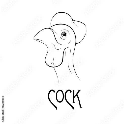 Cock illustration