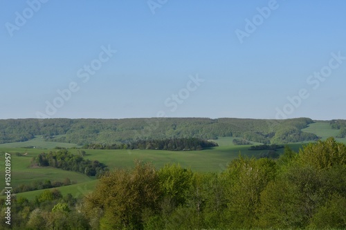 spring nature scenery