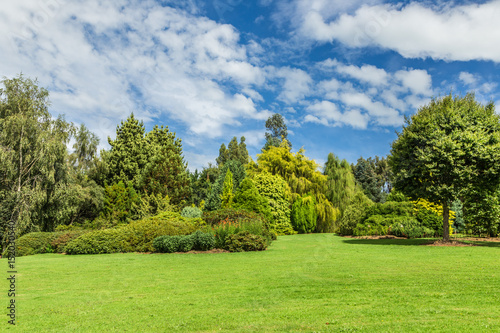 Garden with trees, bushes, and lawn in New Zealand