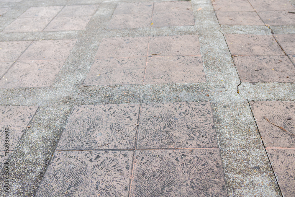 Fototapeta premium garden walkway