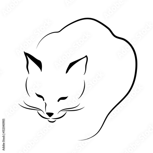 Cat in line technics 