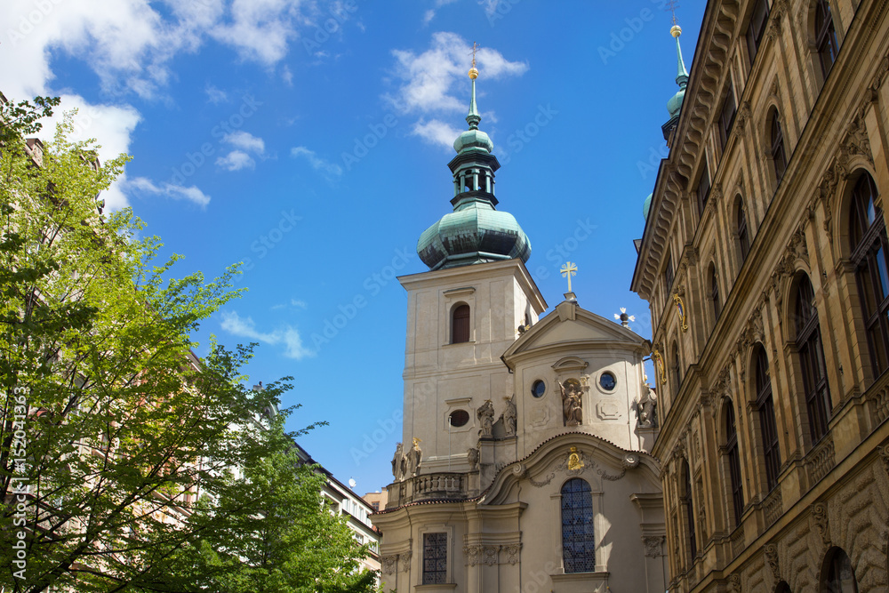 Cathedral in foliage close up