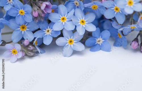 Colorful arrangement of fresh blue wild flowers 