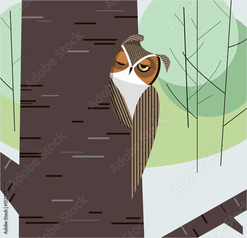 Owl dozes in the hollow of a tree trunk
