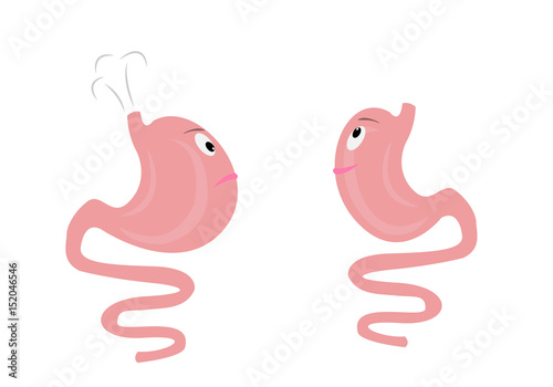 Bloating and healthy cartoon stomach vector illustration on a white background