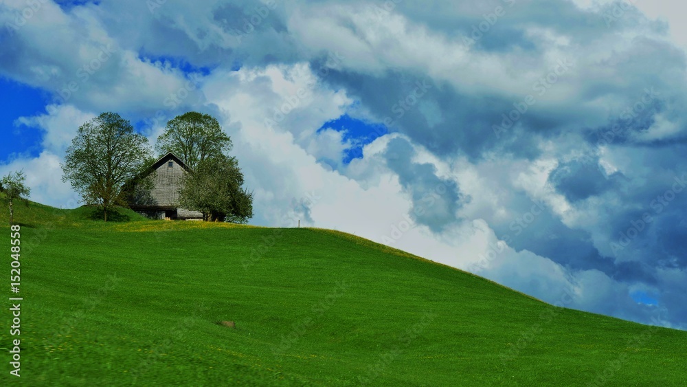 Alte Scheune und Baum auf Hügel mit Wiese Alte Scheune und Baum auf Hügel mit Wiese